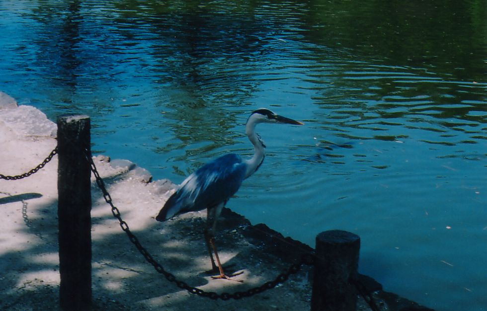 10東大寺09.jpg