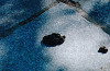 10東大寺11_thumb.jpg