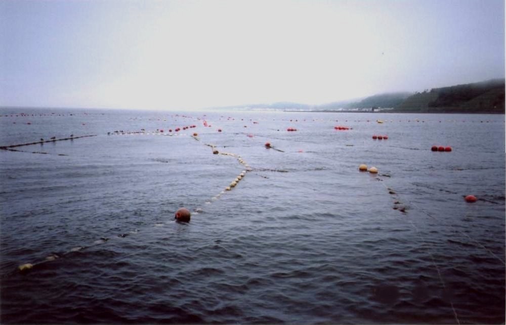 u202.jpg